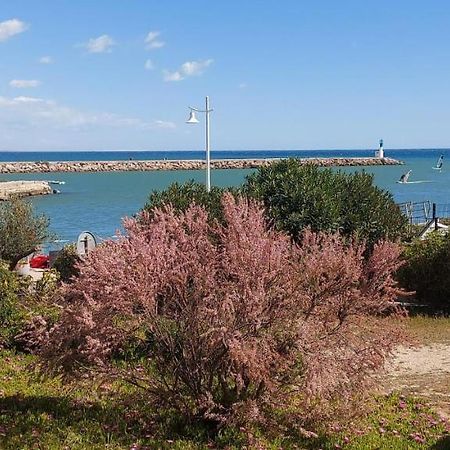 T3 Carnon, 1Ere Ligne 50M Plage Terrasse Parking Mauguio Luaran gambar