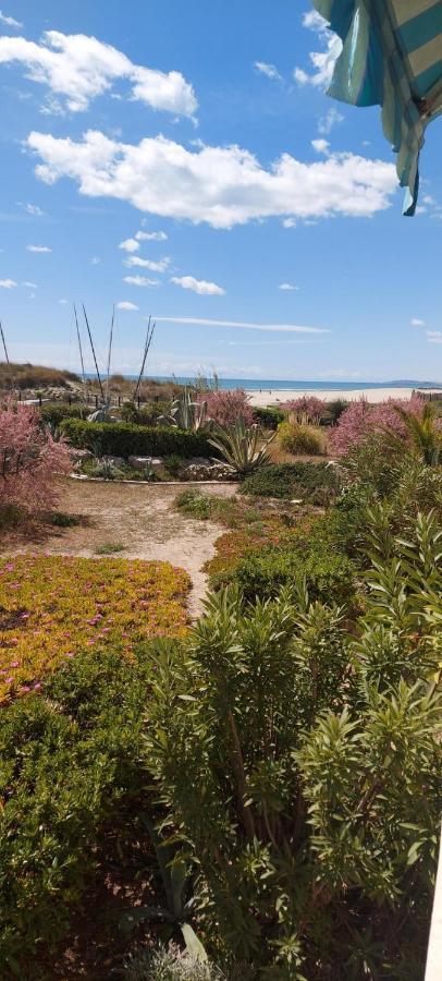 T3 Carnon, 1Ere Ligne 50M Plage Terrasse Parking Mauguio Luaran gambar